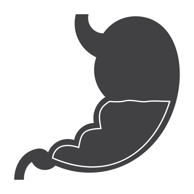 Gastroenterology and Autism Spectrum Disorder — PAAutism.org, an ASERT ...