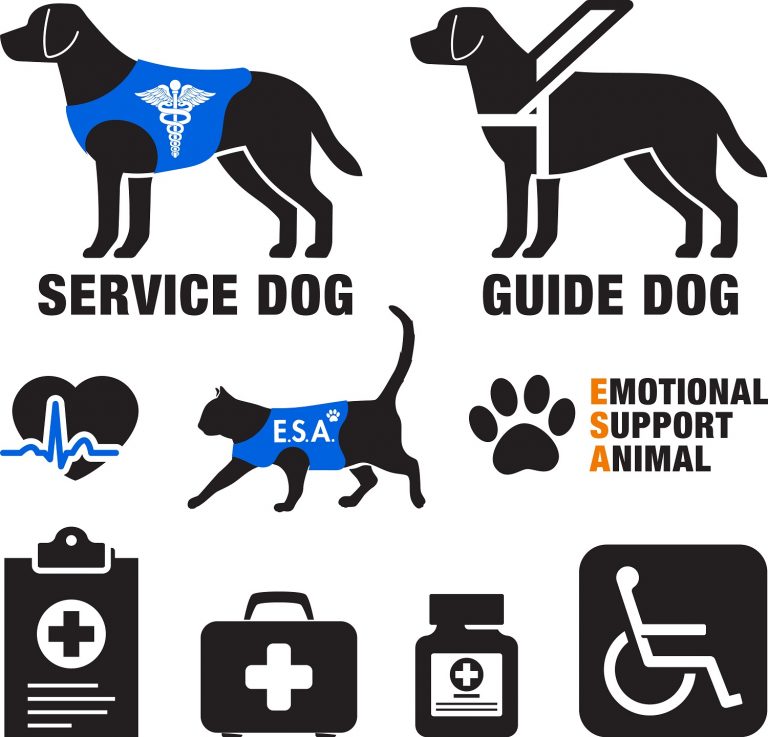 Frequently Asked Questions about Service Animals and the ADA — PAAutism