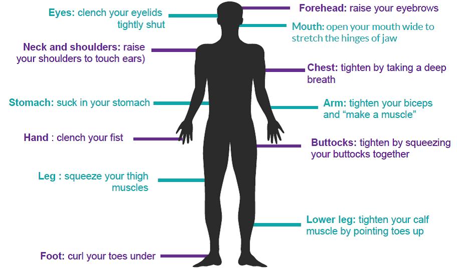 A diagram used for Progressive Muscle Relaxation highlighting ways to move forehead, eyes, mouth, neck and shoulders, chest, stomach, arm, hand, buttocks, leg, lower leg, and foot.