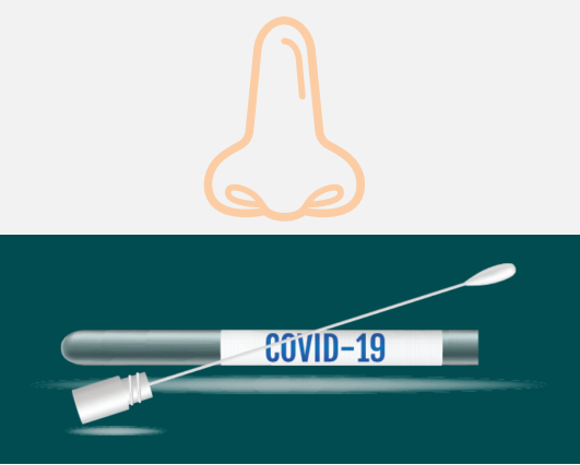 A cartoon nose above a cotton swab and test tube labeled COVID-19.
