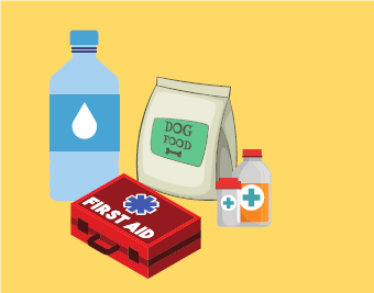 A water bottle, first aid kit, dog food, and medicine bottle
